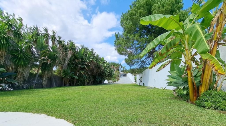 Málaga - Estepona - 2000m2