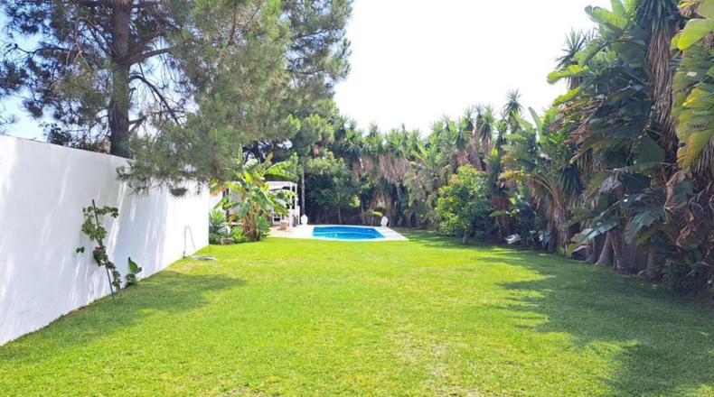 Málaga - Estepona - 2000m2