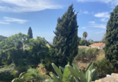 Vil·la amb terreny en lloguer a la España, Marbella, ref.: TR255559 foto