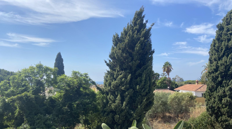 Málaga - Marbella - 1000m2