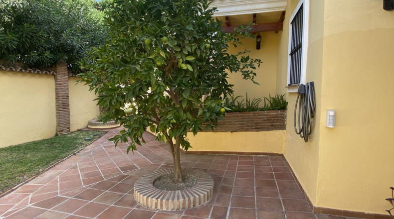 Málaga - Marbella - 1000m2