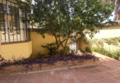 Vil·la amb terreny en lloguer a la España, Marbella, ref.: TR255559 foto