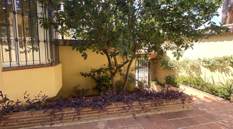 Málaga - Marbella - 1000m2
