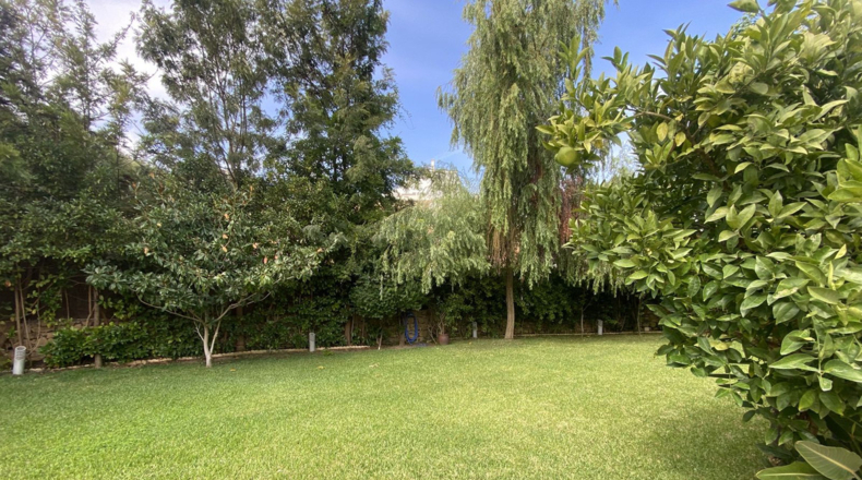 Málaga - Marbella - 1400m2