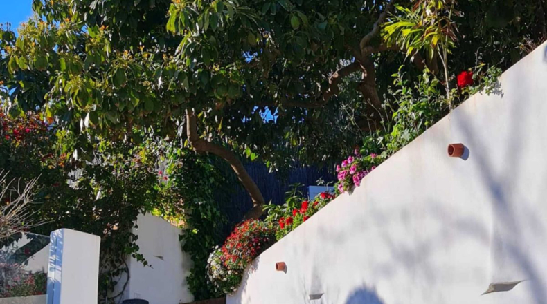Málaga - Marbella - 3000m2
