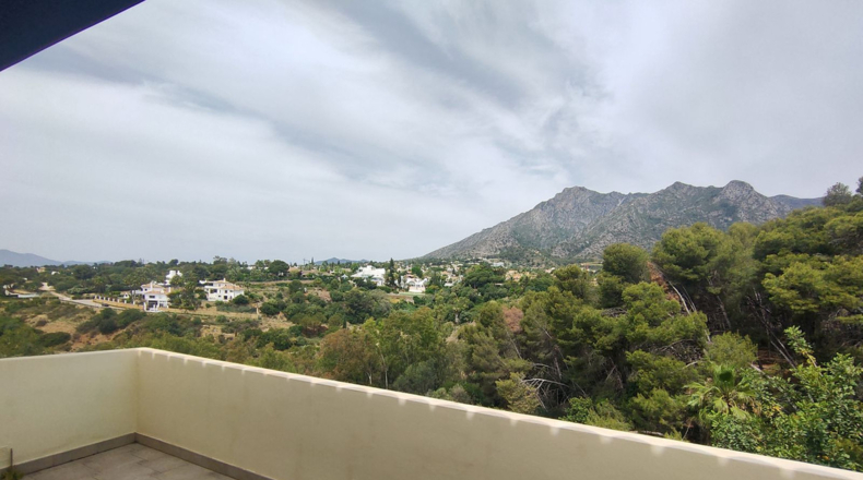 Malaga - Marbella - 1500m2