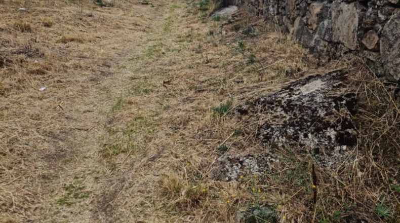 Avila - Navalperal de Pinares - 330m2