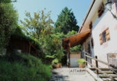 Chalet independiente con terreno en venta en Salinas de Pamplona ref: TR264436 foto