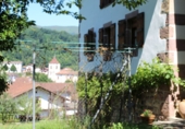 Chalet independiente con terreno en venta en Salinas de Pamplona ref: TR264436 foto
