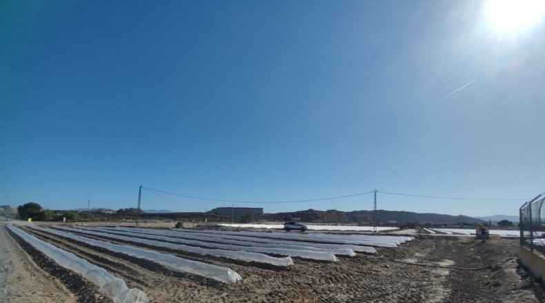 Almería - La Portilla - 2200m2