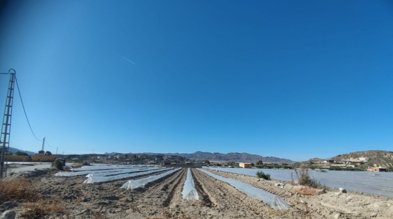 Almería - La Portilla - 2200m2