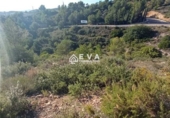 Земля, подлежащая урбанизации на продажу у города L'Alcora Фото