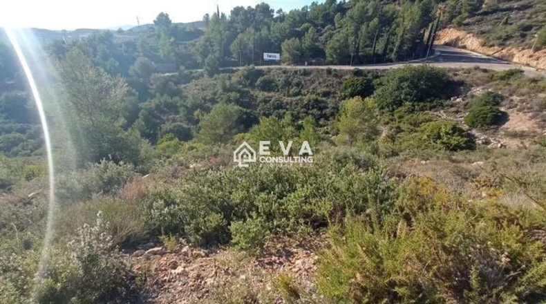 Castellón - Grupo San Cristóbal - 750m2