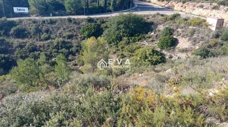 Castellón - Grupo San Cristóbal - 750m2