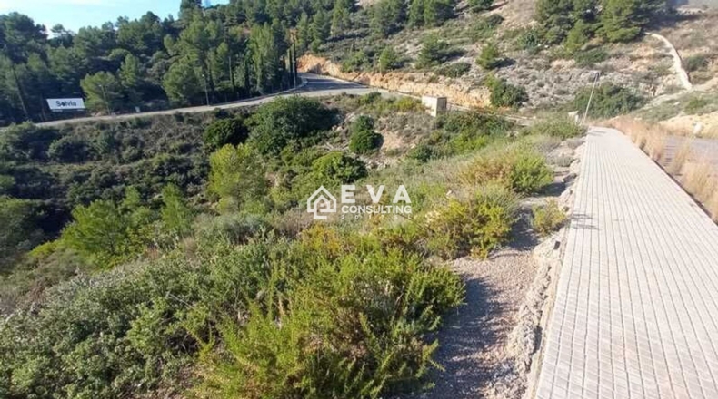 Castellón - Grupo San Cristóbal - 750m2