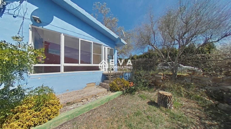 Castellón - Vilafamés - 841m2