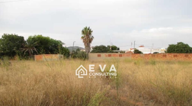 Castellon - Castellón de la Plana - 3200m2
