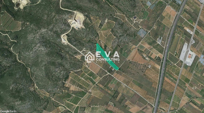Castellon - Castellón de la Plana - 3200m2
