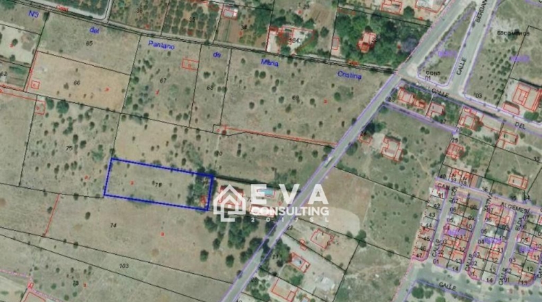 Castellón - Castelló de la Plana - 4529m2