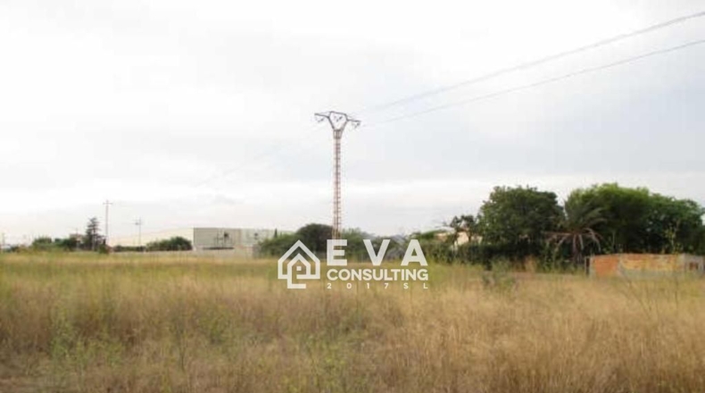 Castellón - Castelló de la Plana - 4529m2