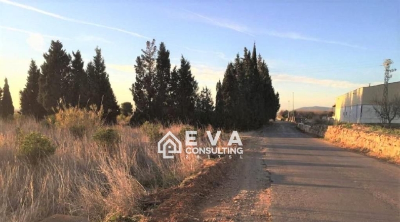 Castellón - Torreblanca - 10221m2