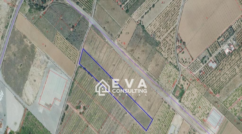 Castellón - Torreblanca - 10221m2