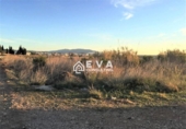 Land suitable for development for sale in Torreblanca ref: TR383050 photo