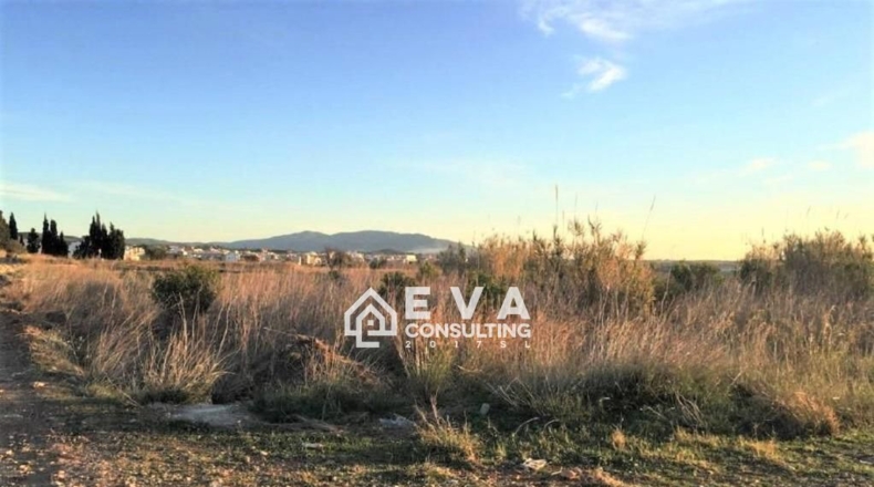 Castellón - Torreblanca - 10221m2