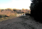 Land suitable for development for sale in Torreblanca ref: TR383050 photo