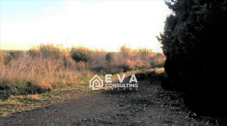Castellón - Torreblanca - 10221m2