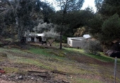 Xalet independent amb terreny en venda a Bailén ref.: TR186932 foto