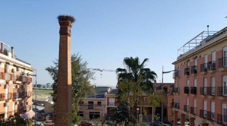 Jaén - Bailén - 623m2