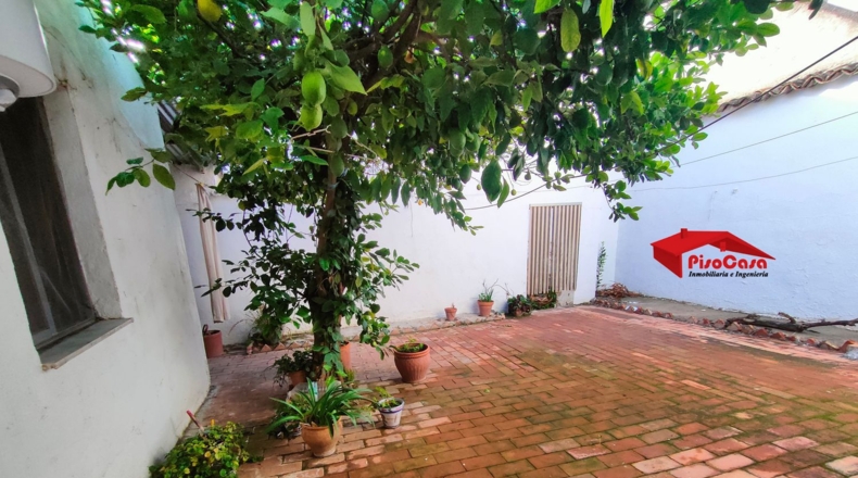 Jaén - Bailén - 225m2