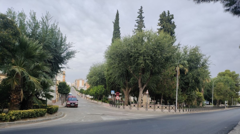 Jaén - Mengíbar - 114m2