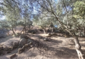 Xalet independent amb terreny en venda a Bailén ref.: TR111924 foto