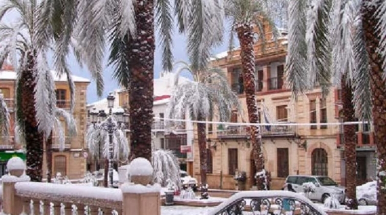 Jaén - Navas de San Juan - 190m2