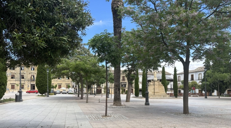 Jaen - Úbeda - 158m2