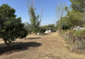 Xalet independent amb terreny en venda a Bailén ref.: TR368076 foto