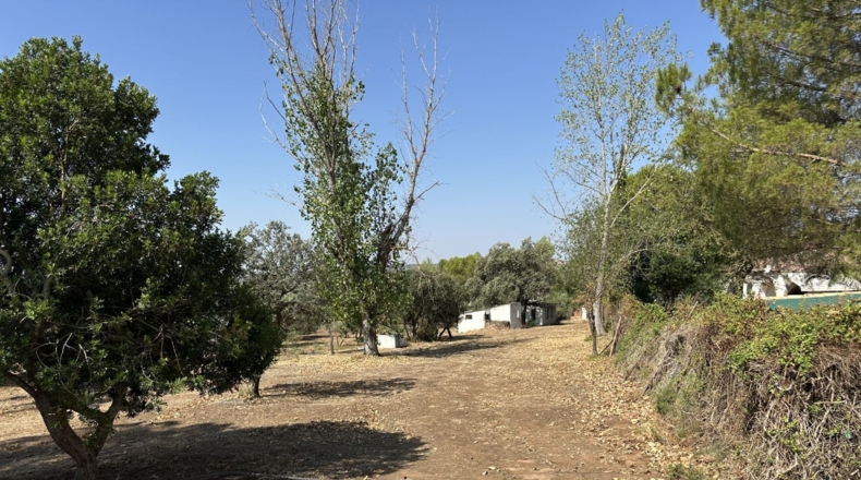 Jaén - Bailén - 5300m2