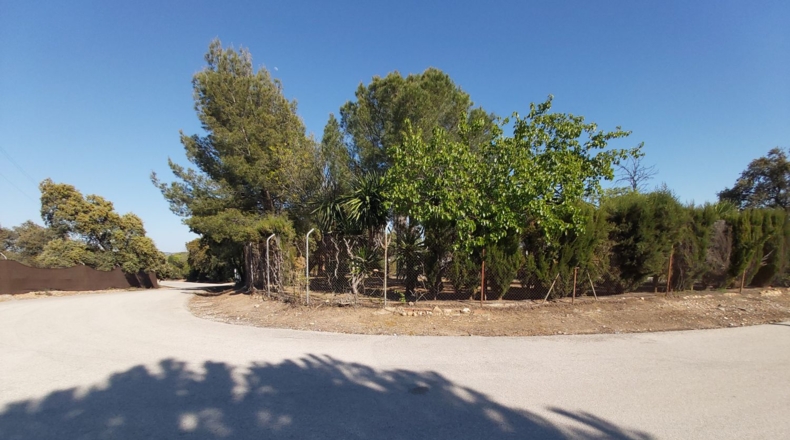 Jaén - Bailén - 3650m2