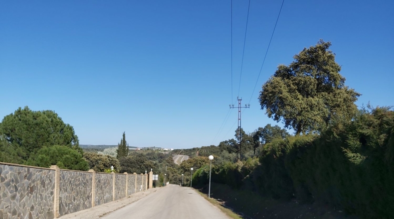 Jaén - Bailén - 3650m2