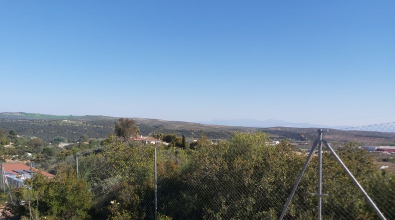 Jaén - Bailén - 3900m2