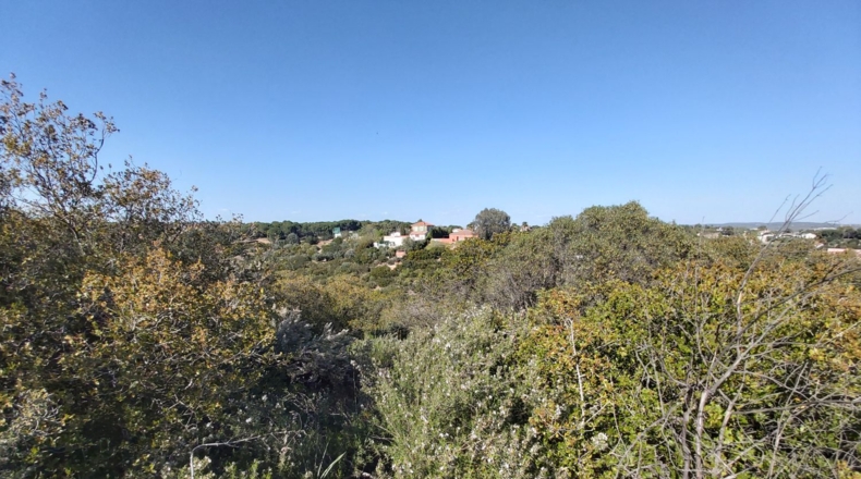 Jaén - Bailén - 3252m2