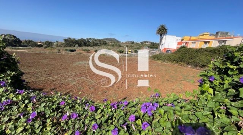 Santa Cruz de Tenerife - El Cantillo - 25000m2