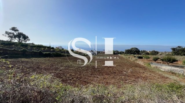 Santa Cruz de Tenerife - El Cantillo - 25000m2