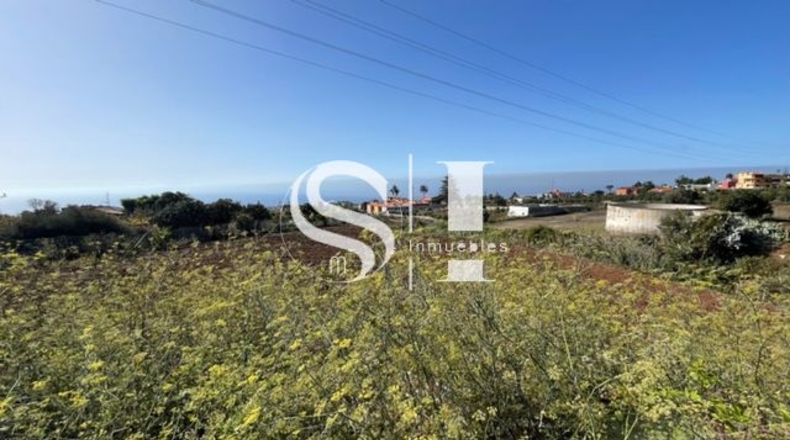 Santa Cruz de Tenerife - El Cantillo - 25000m2