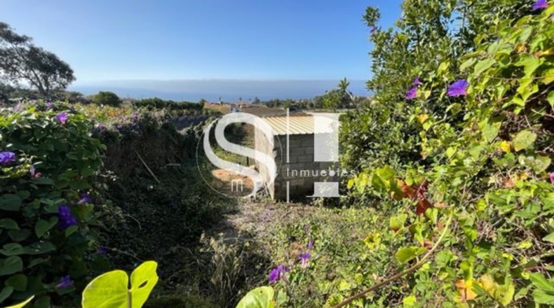Santa Cruz de Tenerife - El Cantillo - 25000m2