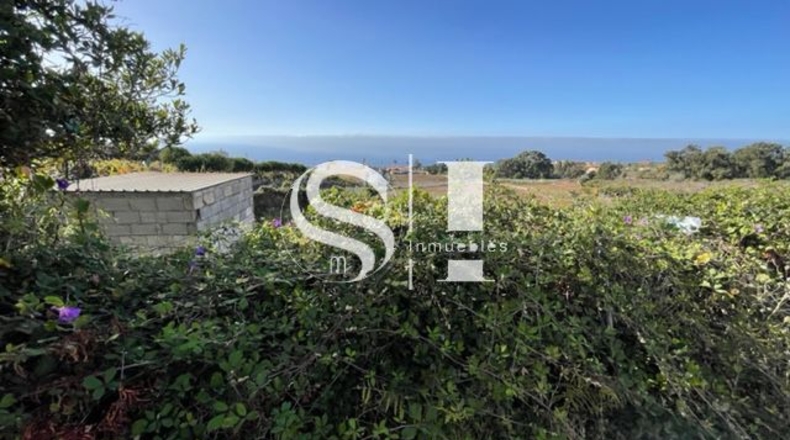 Santa Cruz de Tenerife - El Cantillo - 25000m2