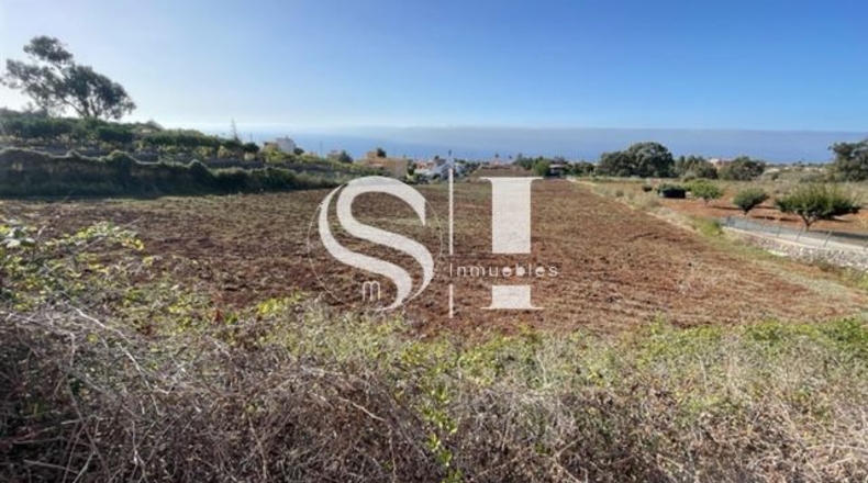 Santa Cruz de Tenerife - El Cantillo - 25000m2