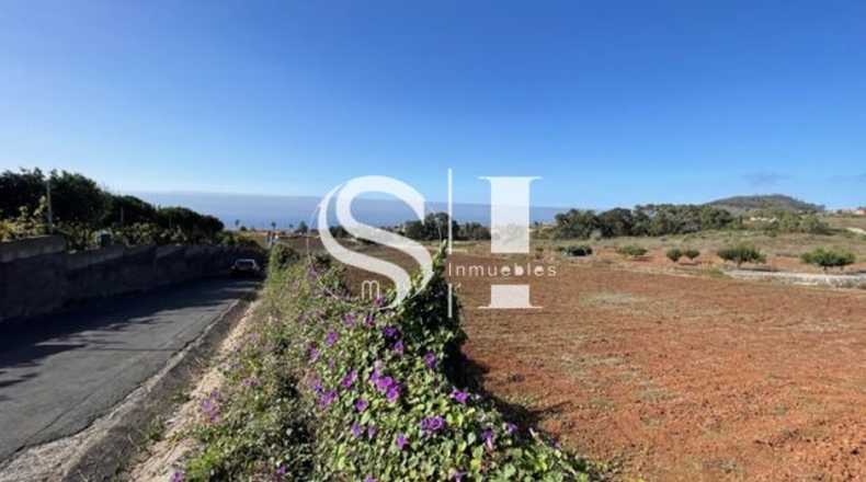 Santa Cruz de Tenerife - El Cantillo - 25000m2